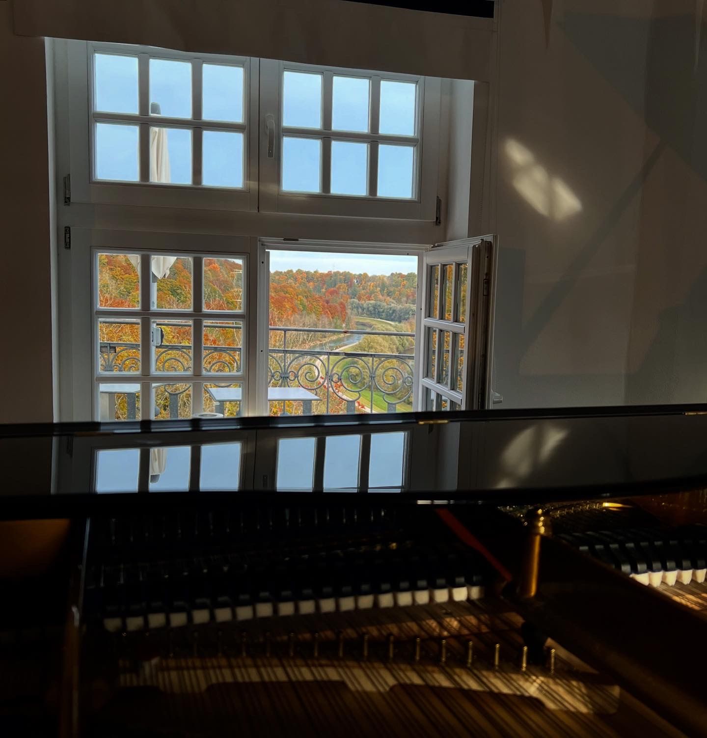 Ein Blick aus dem Fenster des Blauen Saals